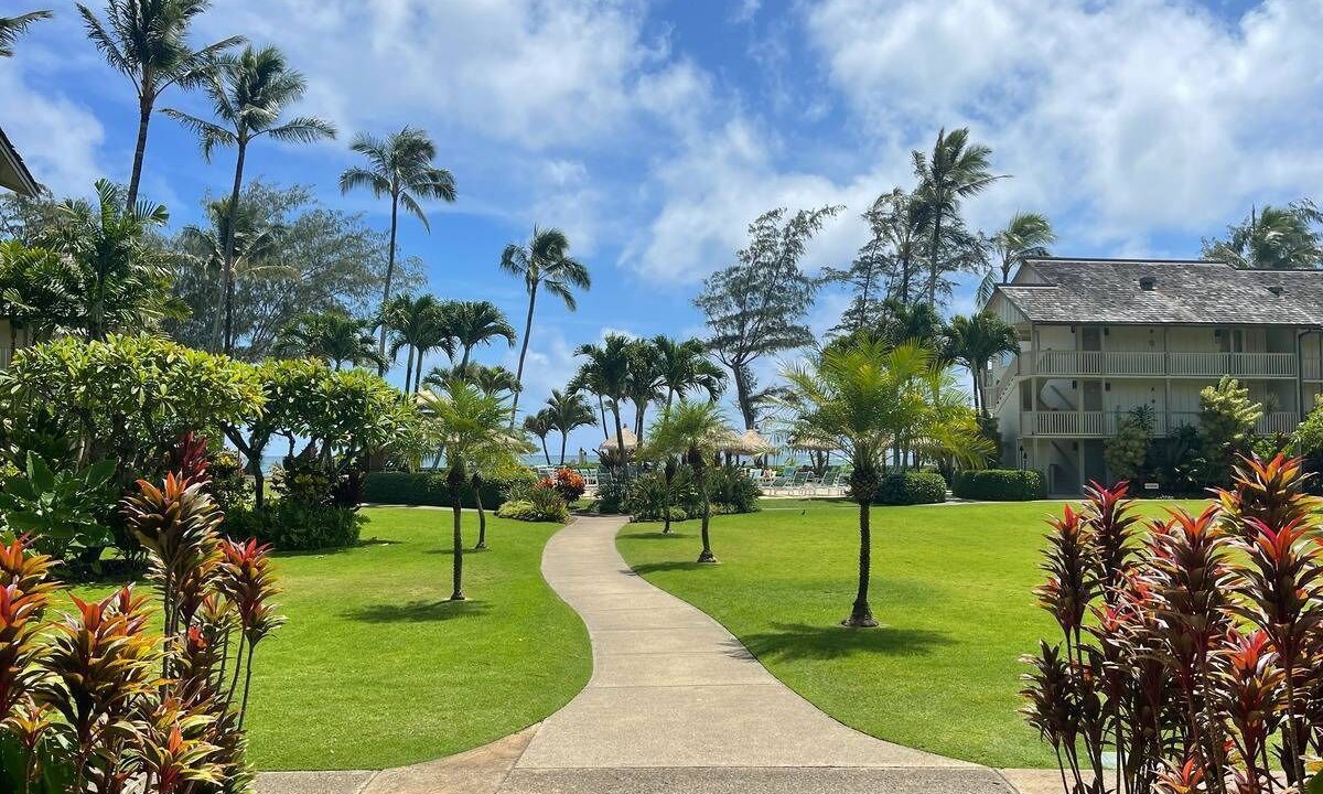 Photo of Outdoor in Wailua