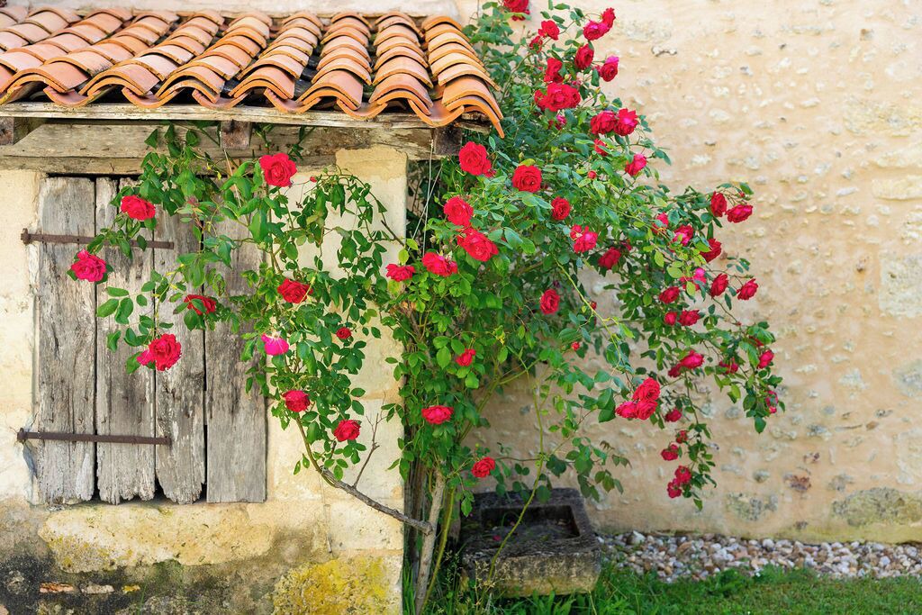 Photo of Outdoor in Festalemps