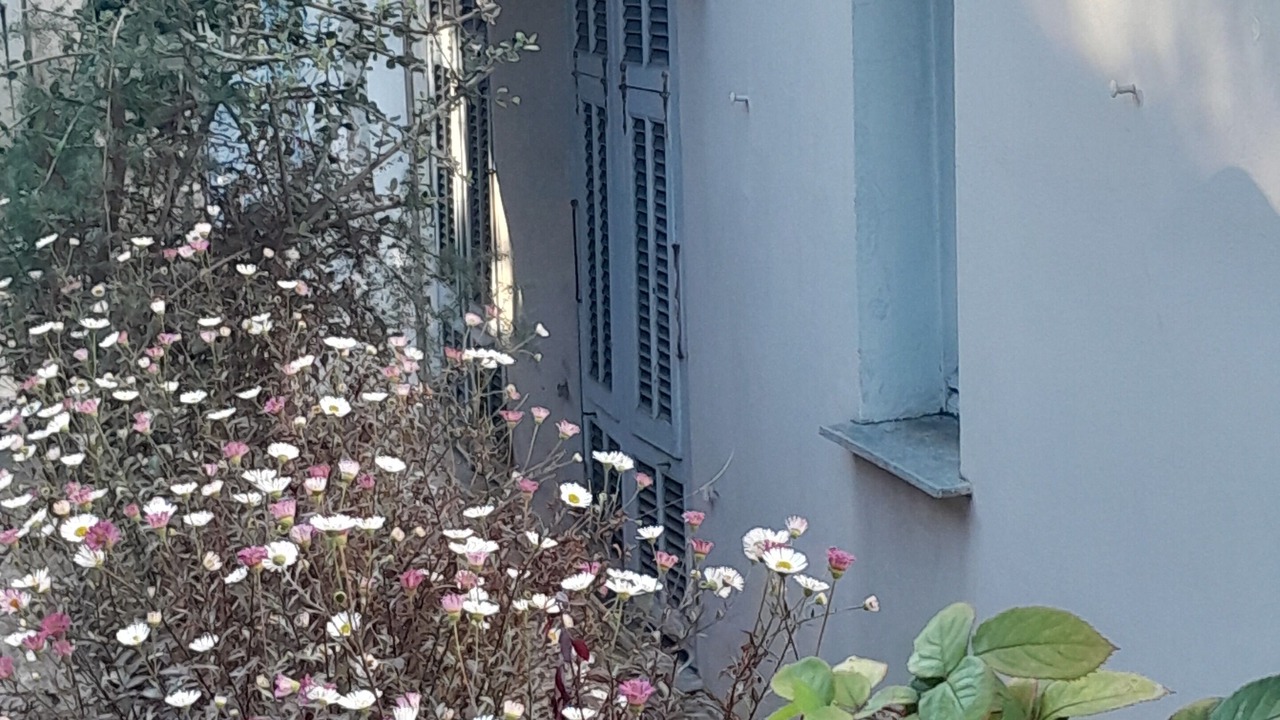 Photo of Outdoor in Caucade