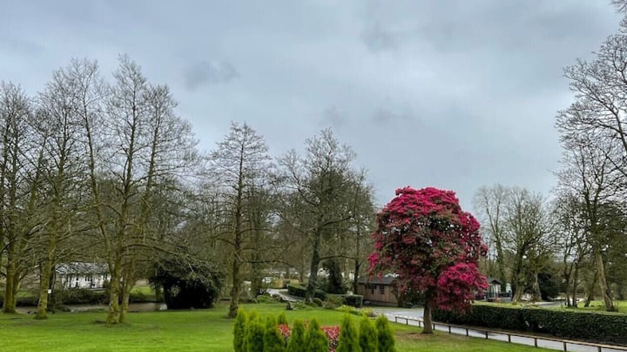 Photo of Outdoor in Saint Breward