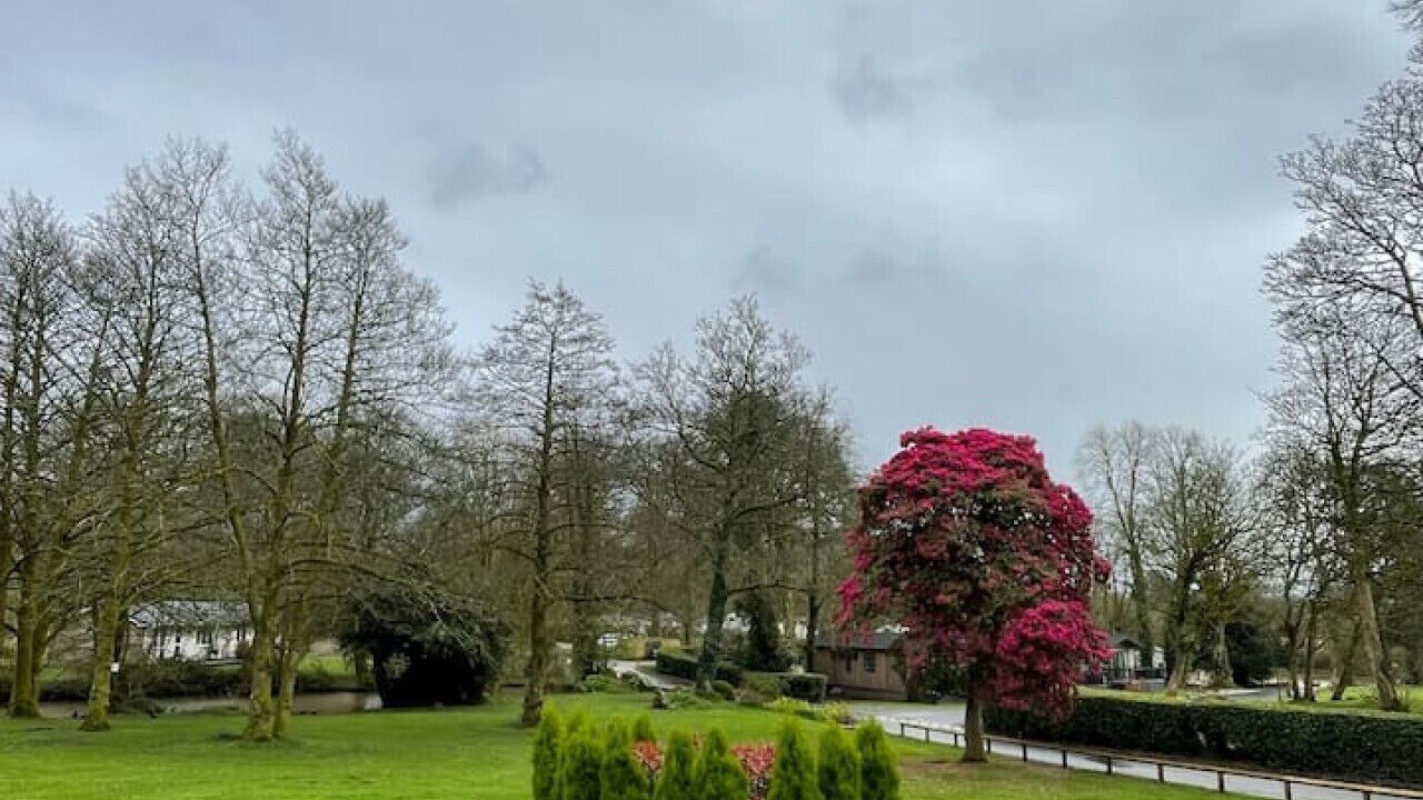 Photo of Outdoor in Saint Breward