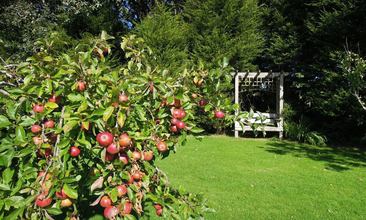 Photo of Outdoor in High Street