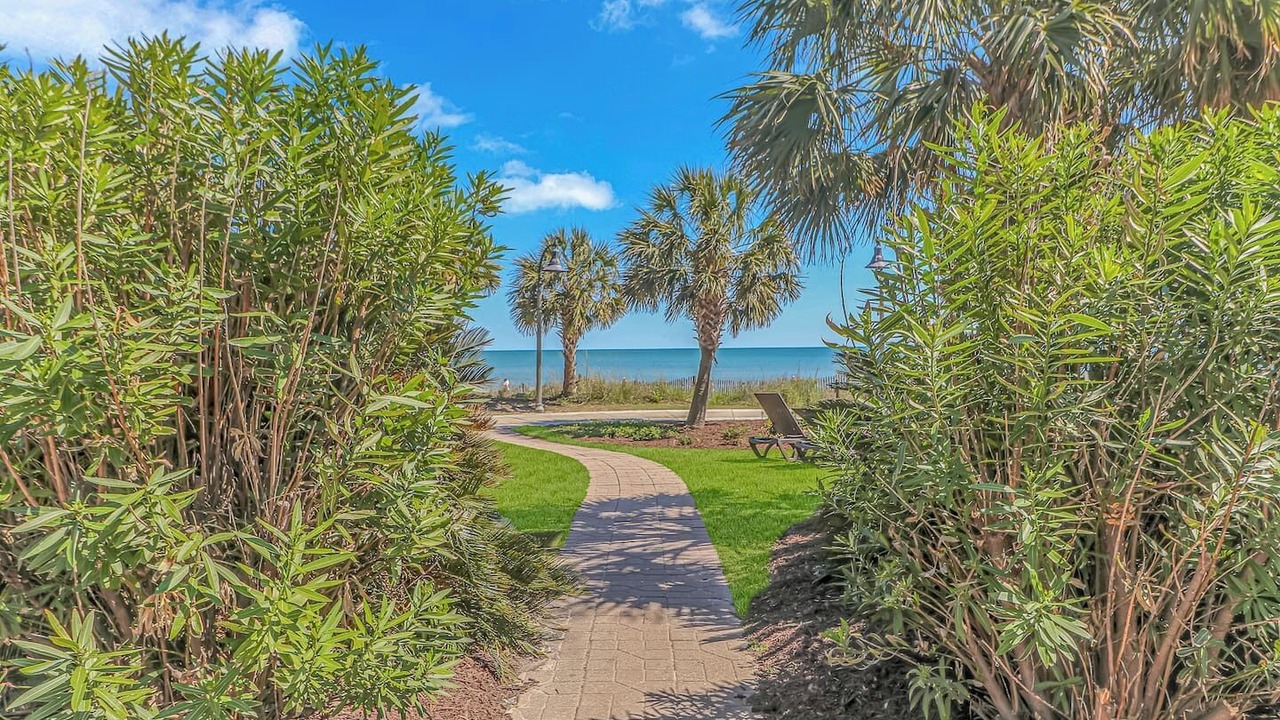 Photo of Outdoor in Downtown Myrtle Beach
