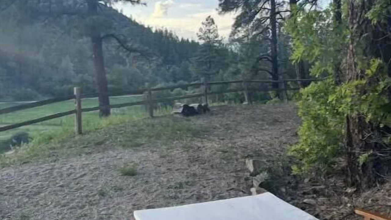 Photo of Outdoor in Pagosa Springs
