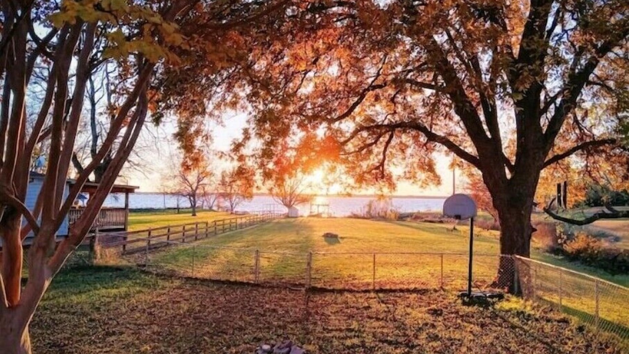 Photo of Outdoor in Lone Oak