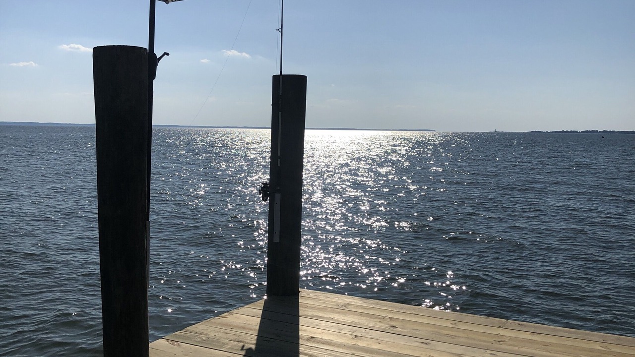 Photo of Others in Piney Point