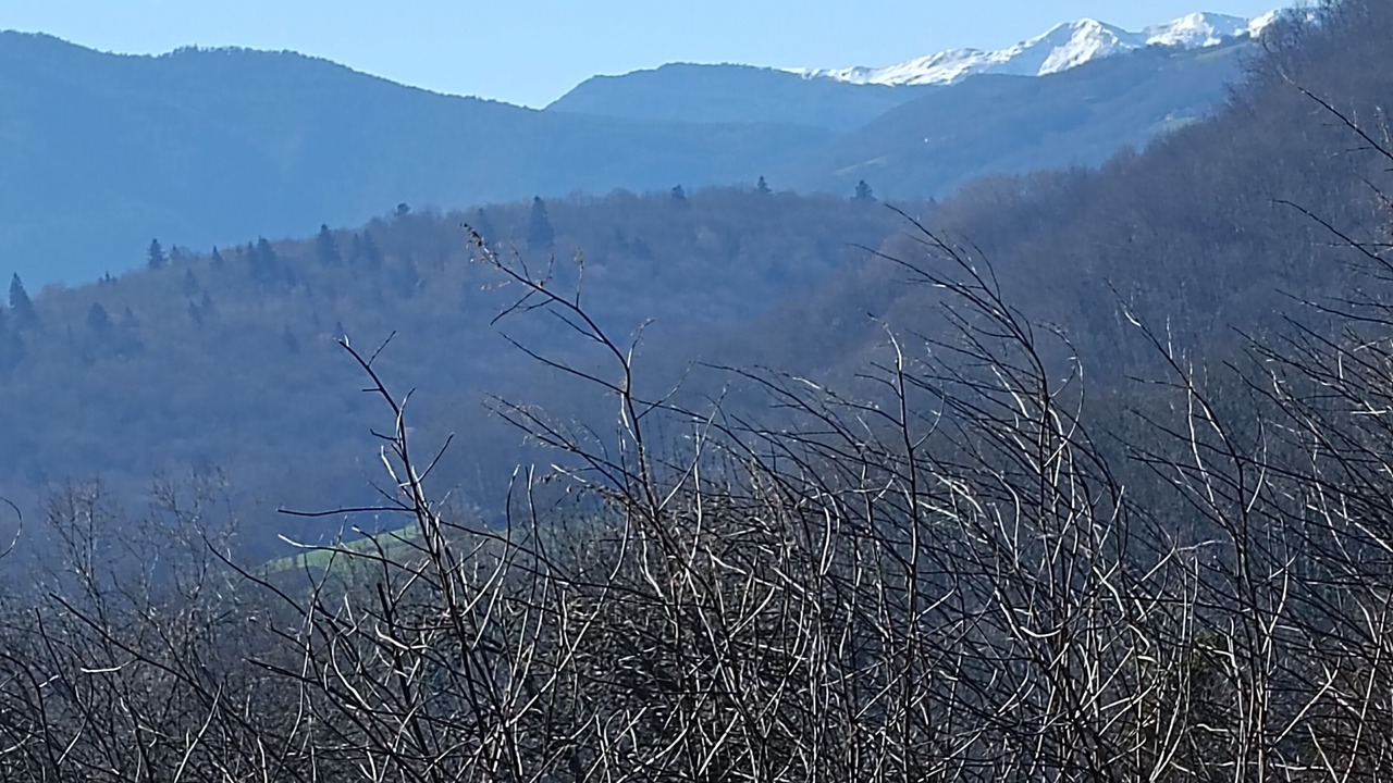Photo of Outdoor in Couret