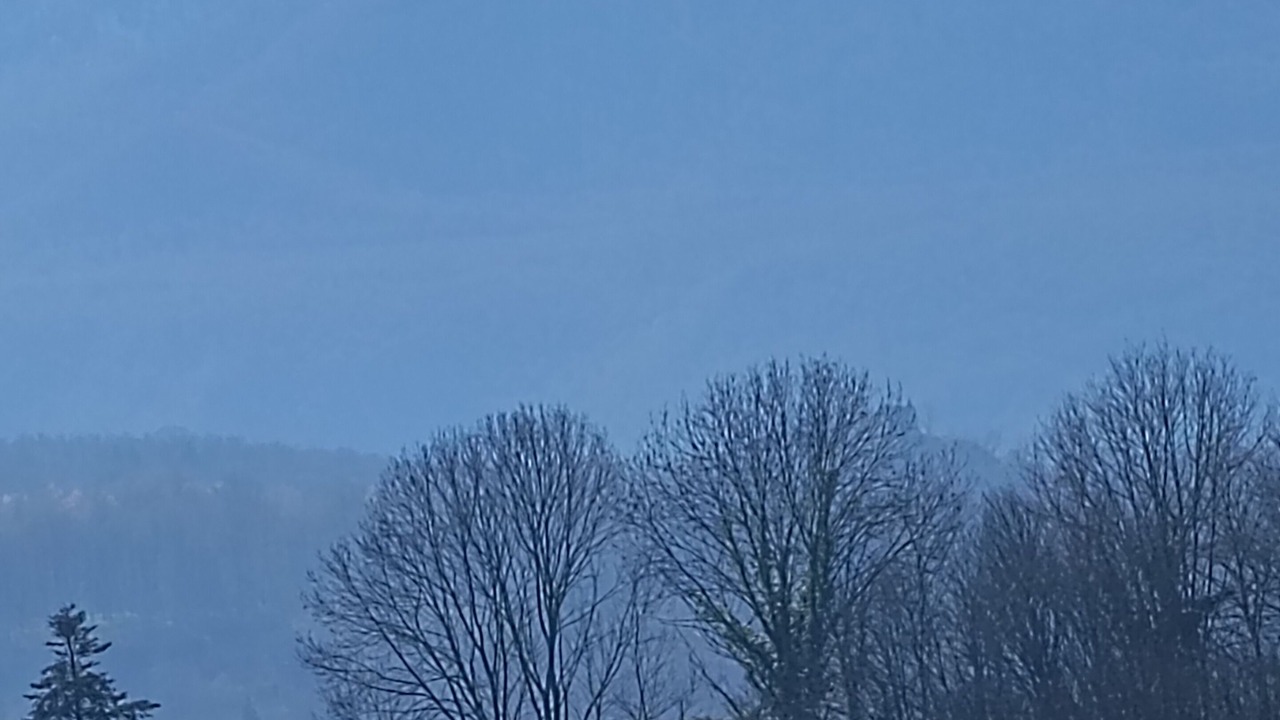 Photo of Others in Couret