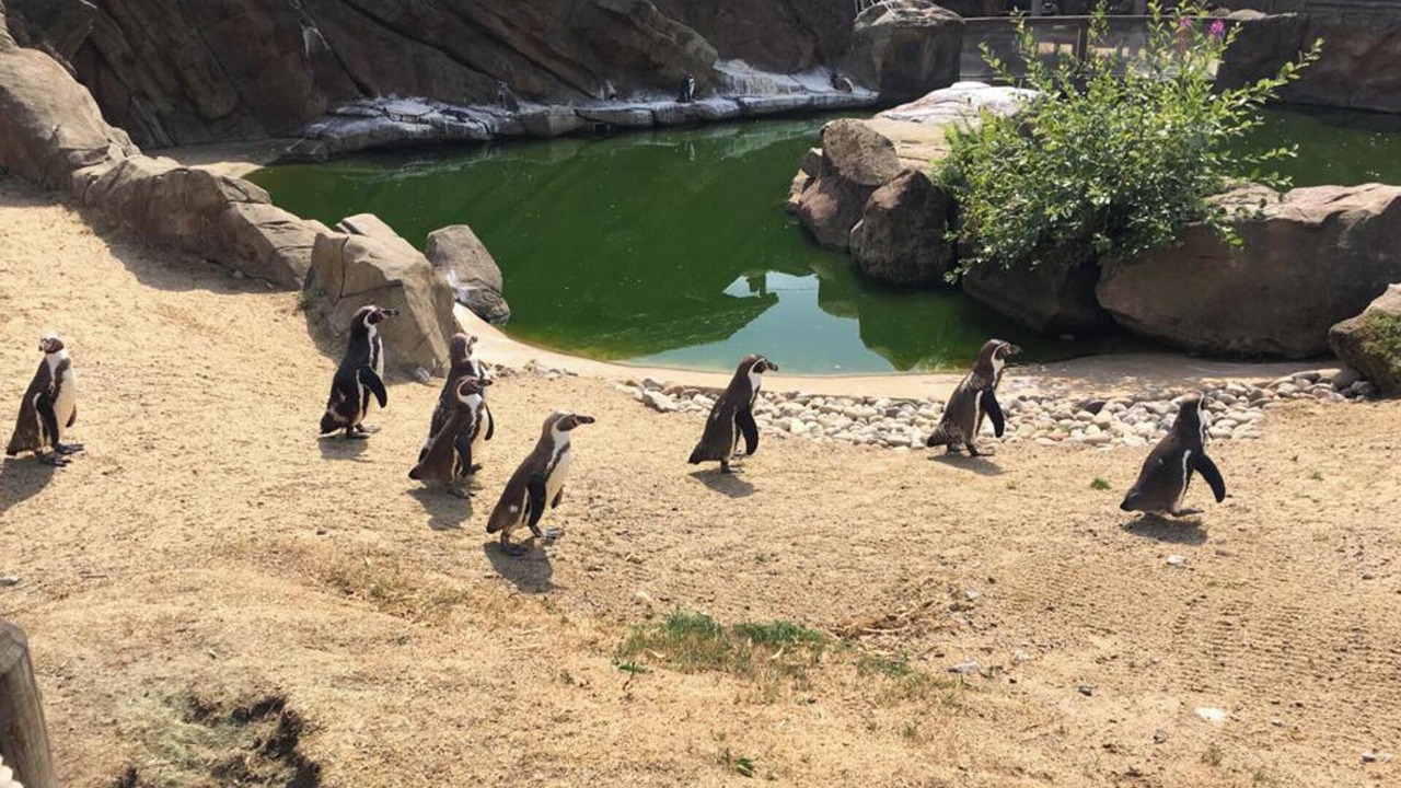 Photo of Others in Winkhill