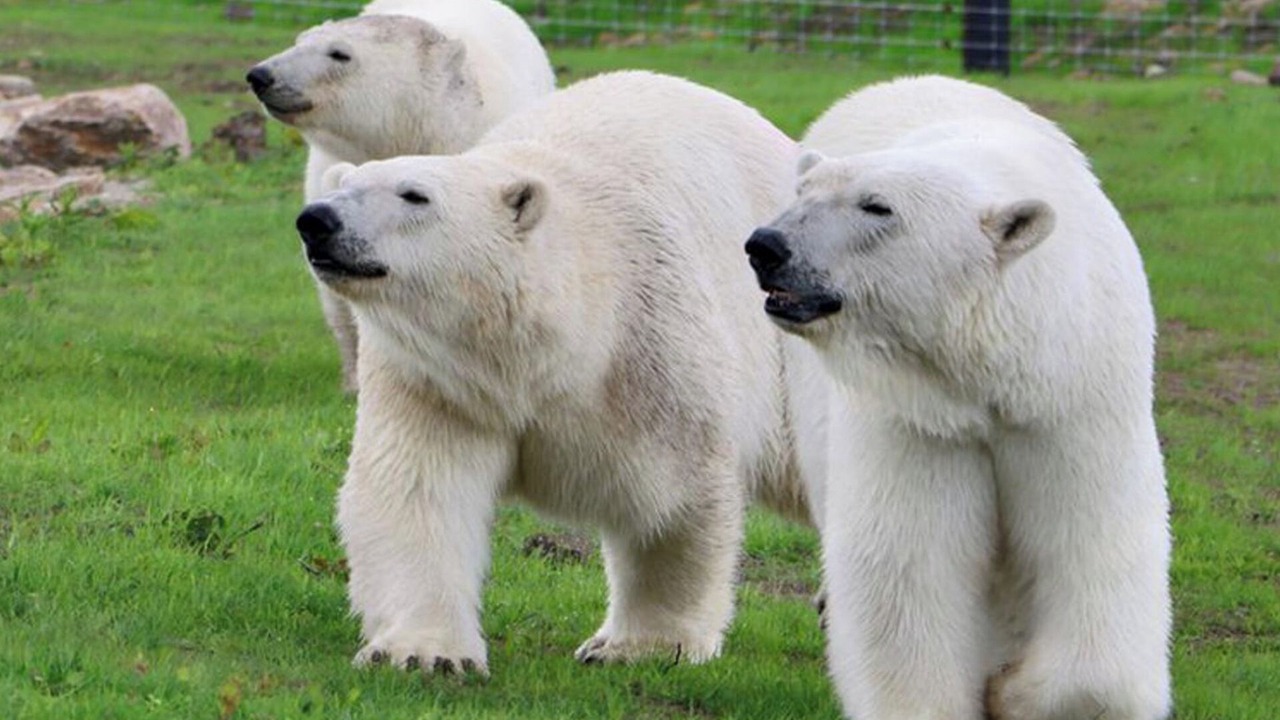 Photo of Others in Winkhill