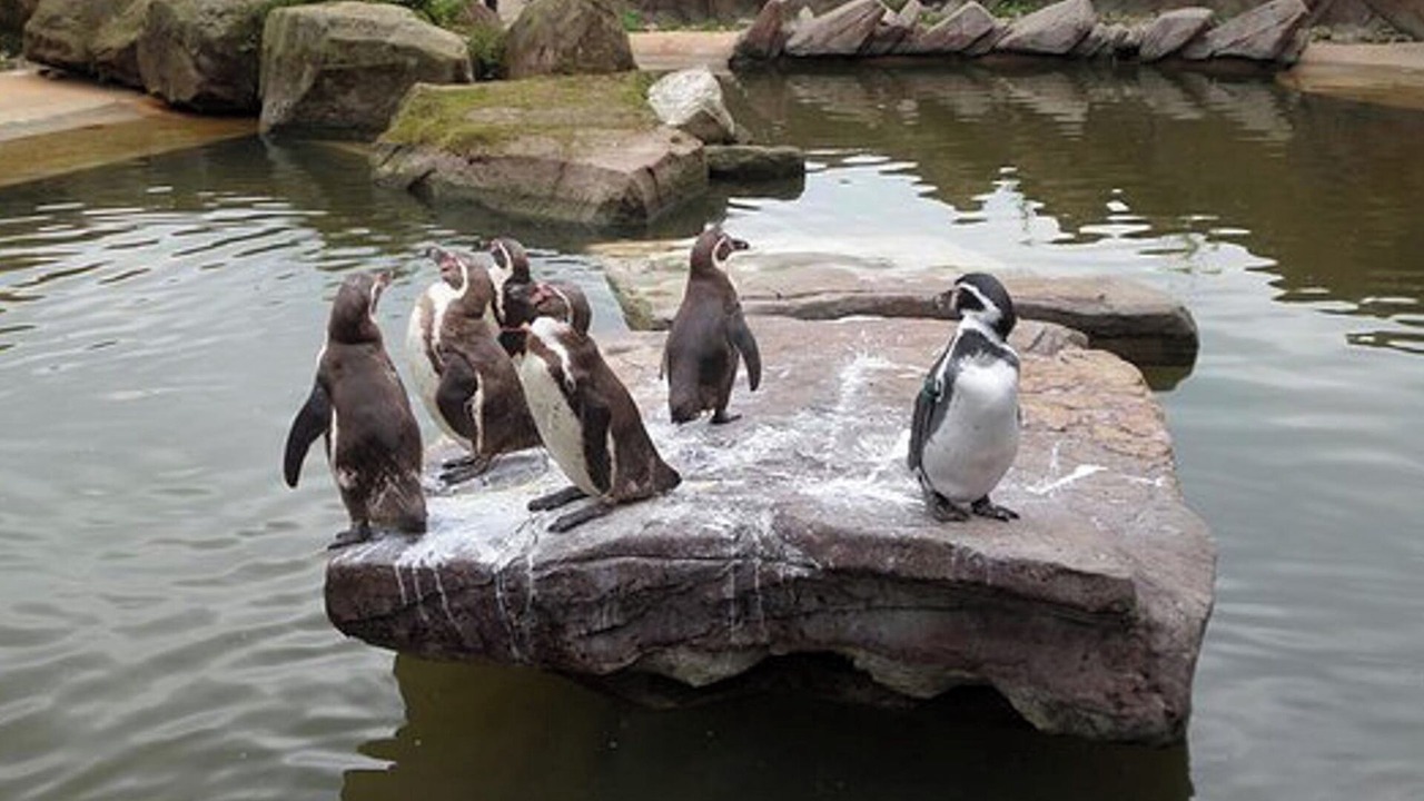 Photo of Others in Winkhill