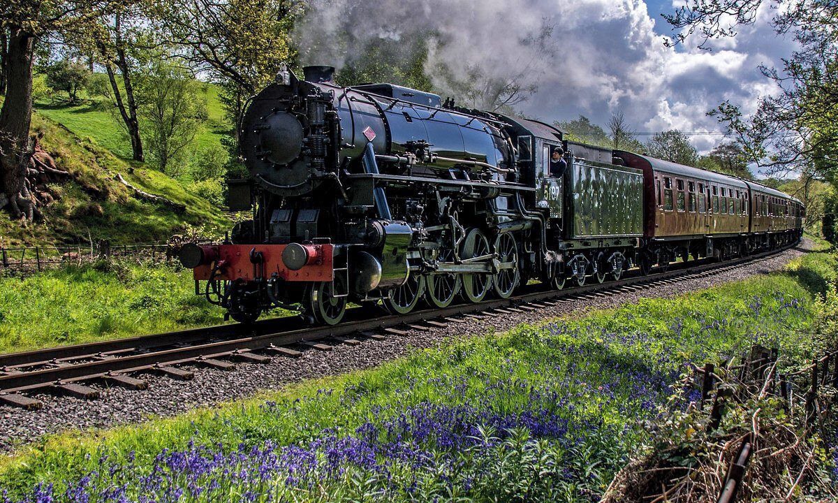 Photo of Others in Winkhill