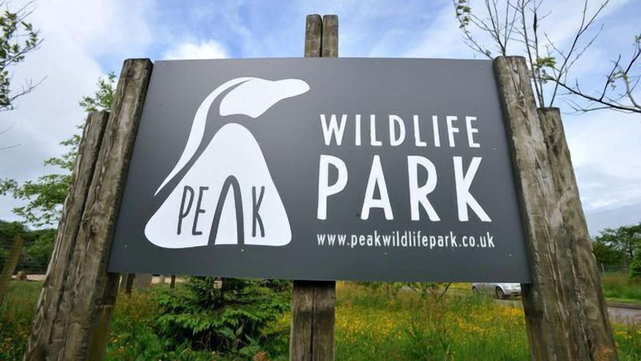 Photo of Others in Cauldon Low