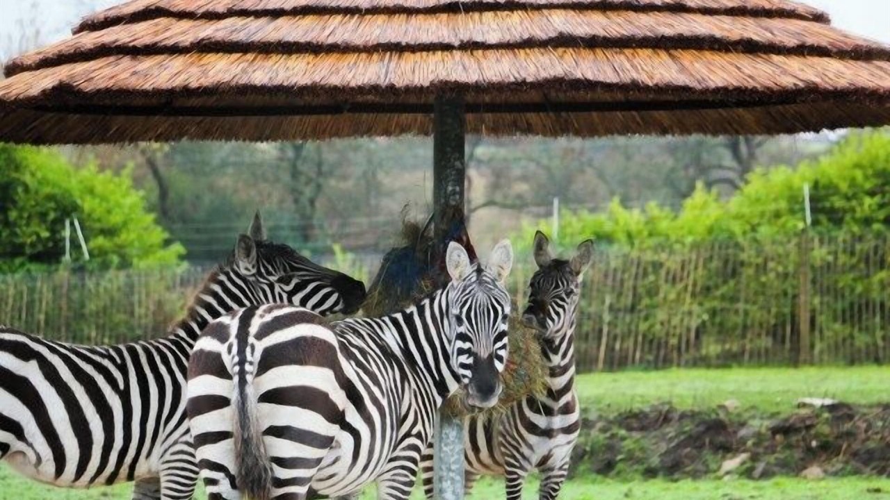 Photo of Others in Cauldon Low