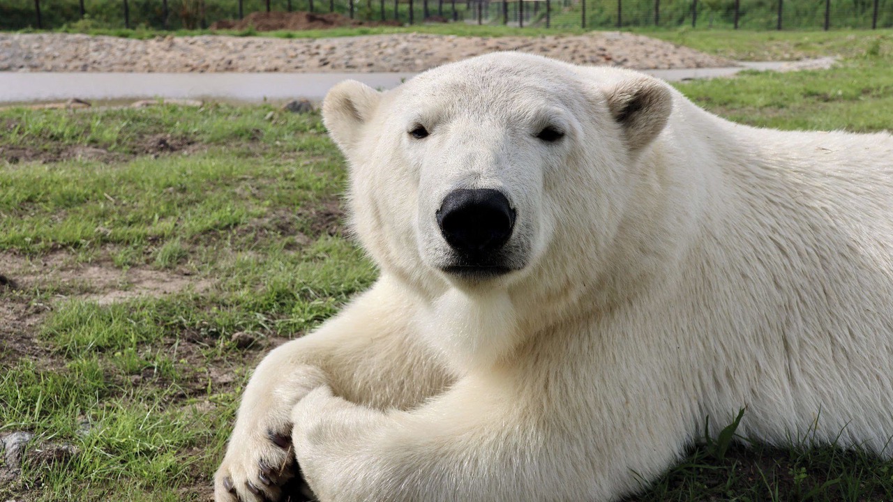 Photo of Others in Cauldon Low