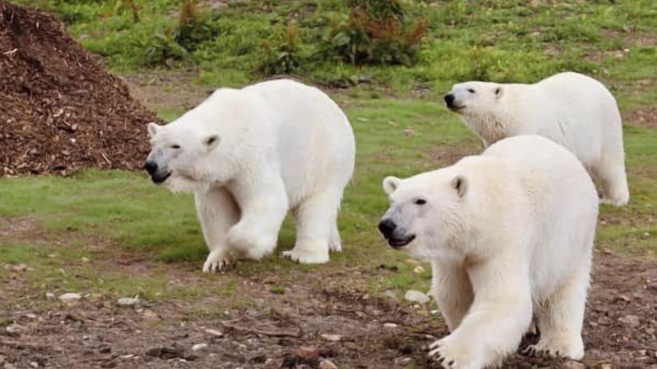 Photo of Others in Cauldon Low