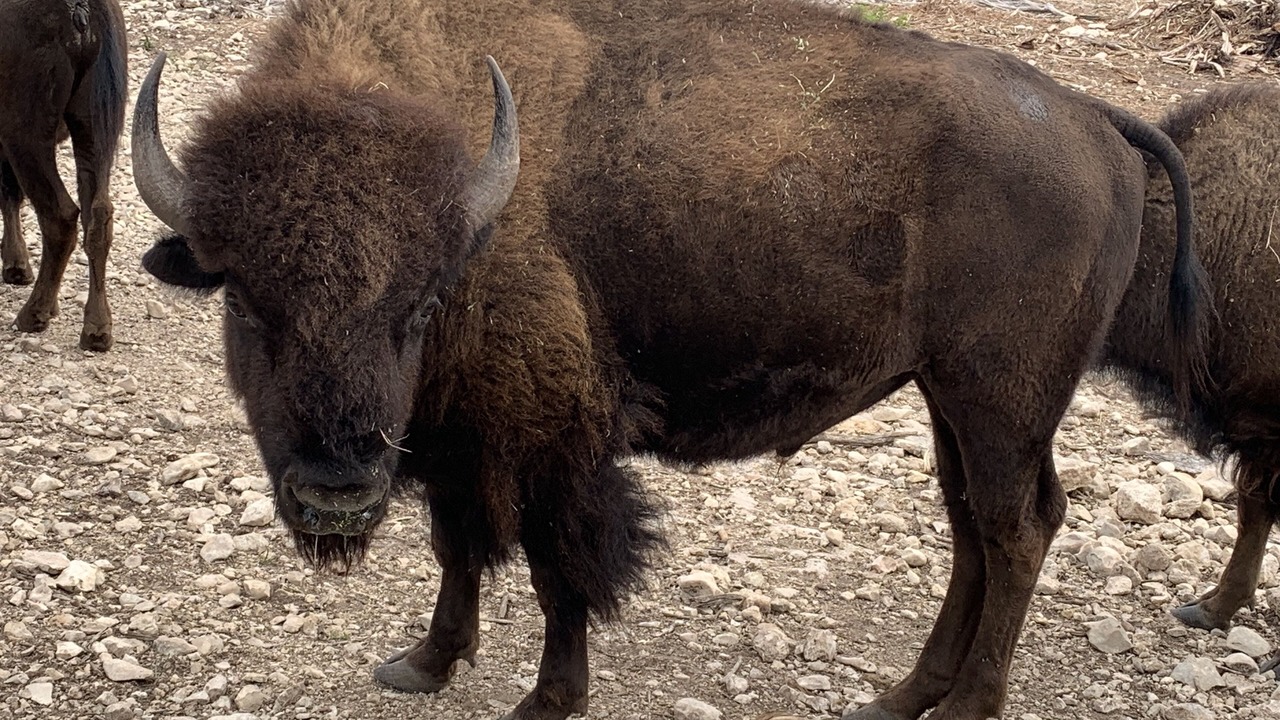 Photo of Others in Edwards County