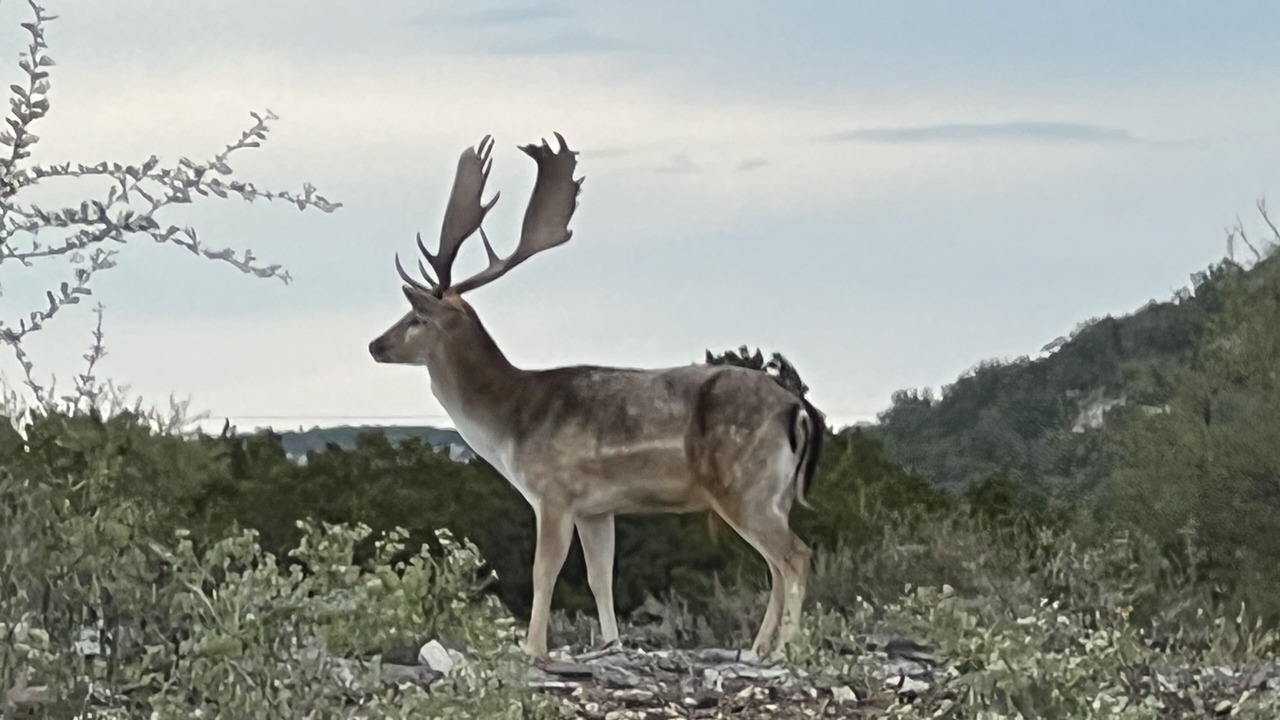 Photo of Outdoor in Edwards County