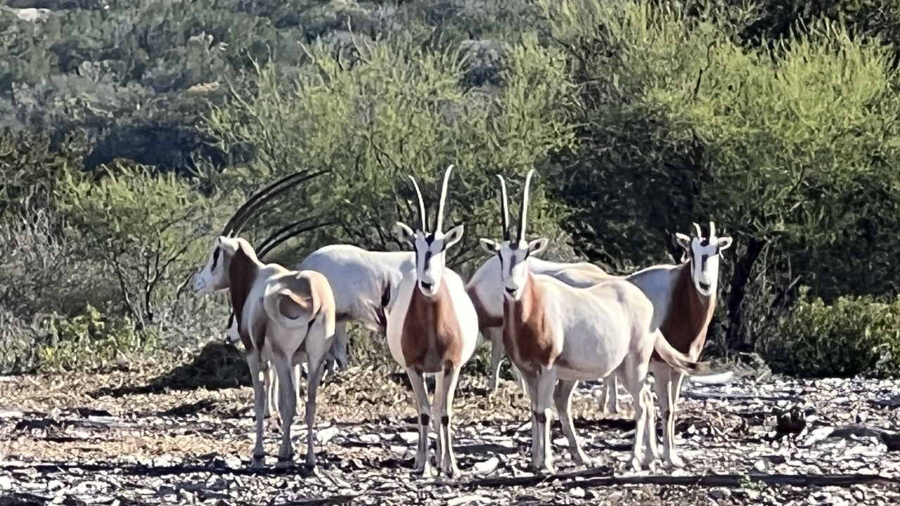 Photo of Outdoor in Edwards County