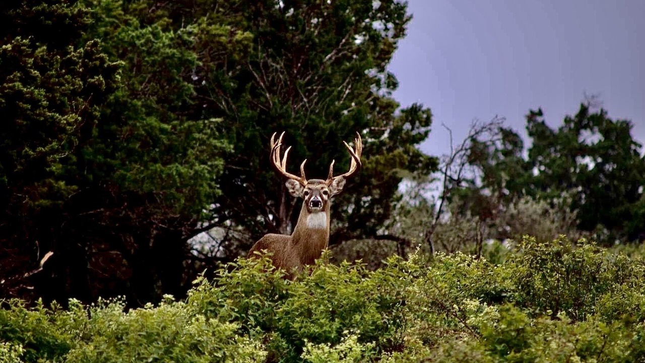 Photo of Outdoor in Edwards County
