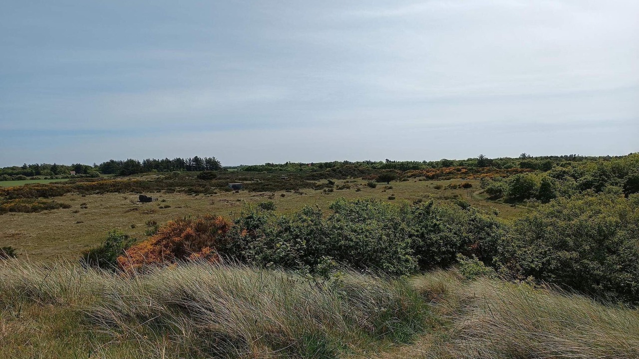 Photo of Others in Skjern
