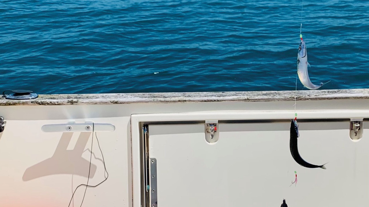 Photo of Others in Saint-Marcouf