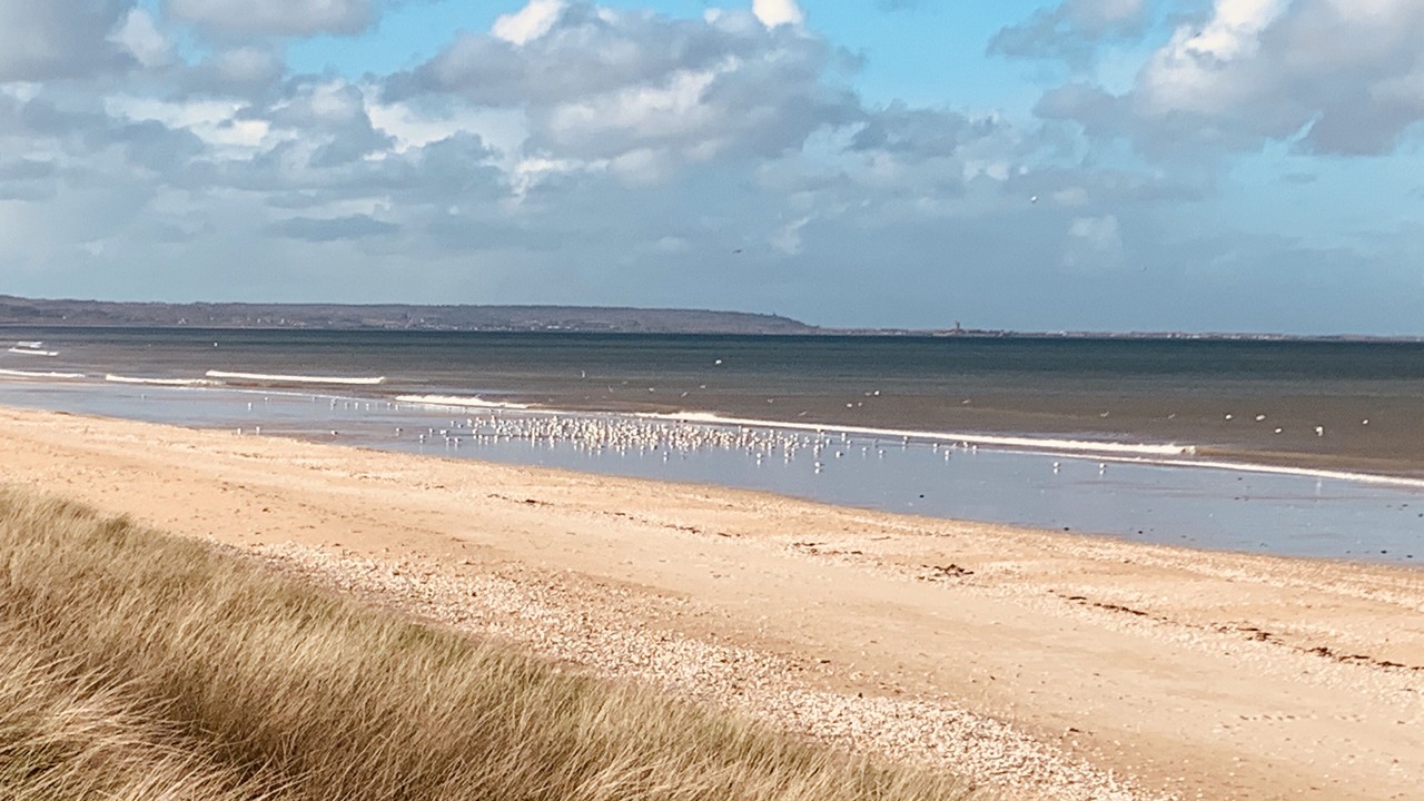 Photo of Others in Saint-Marcouf