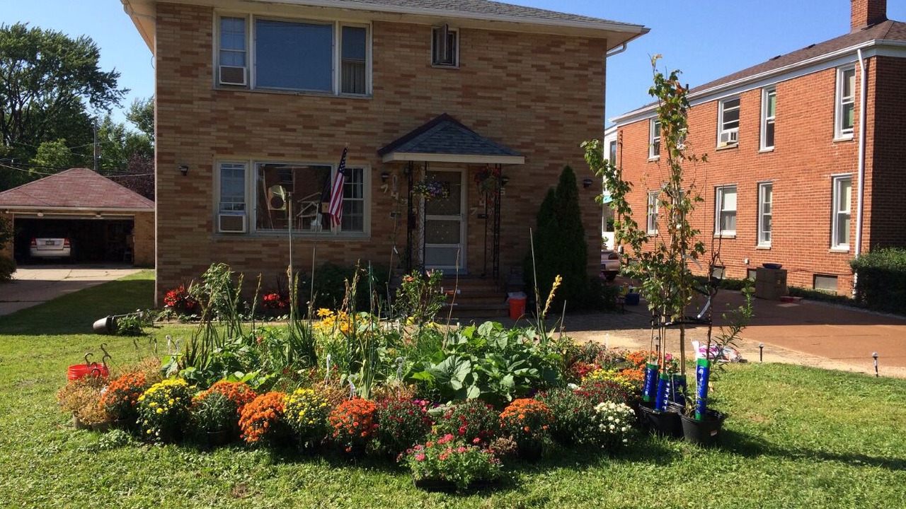 Photo of Outdoor in Middleburg Heights