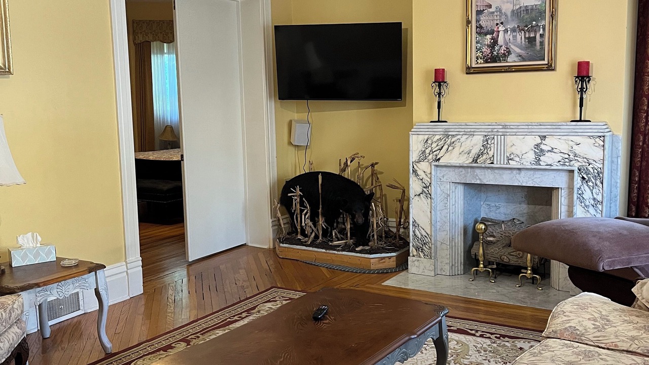 Photo of Livingroom in Butler