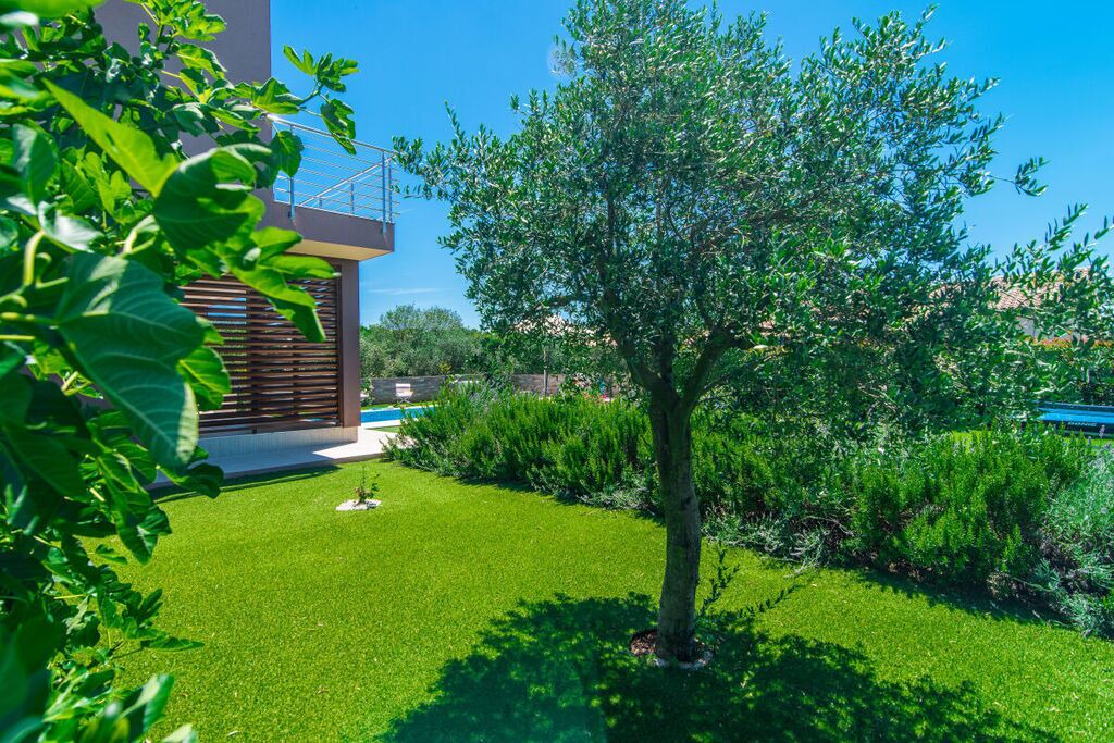 Photo of Outdoor in Galizana