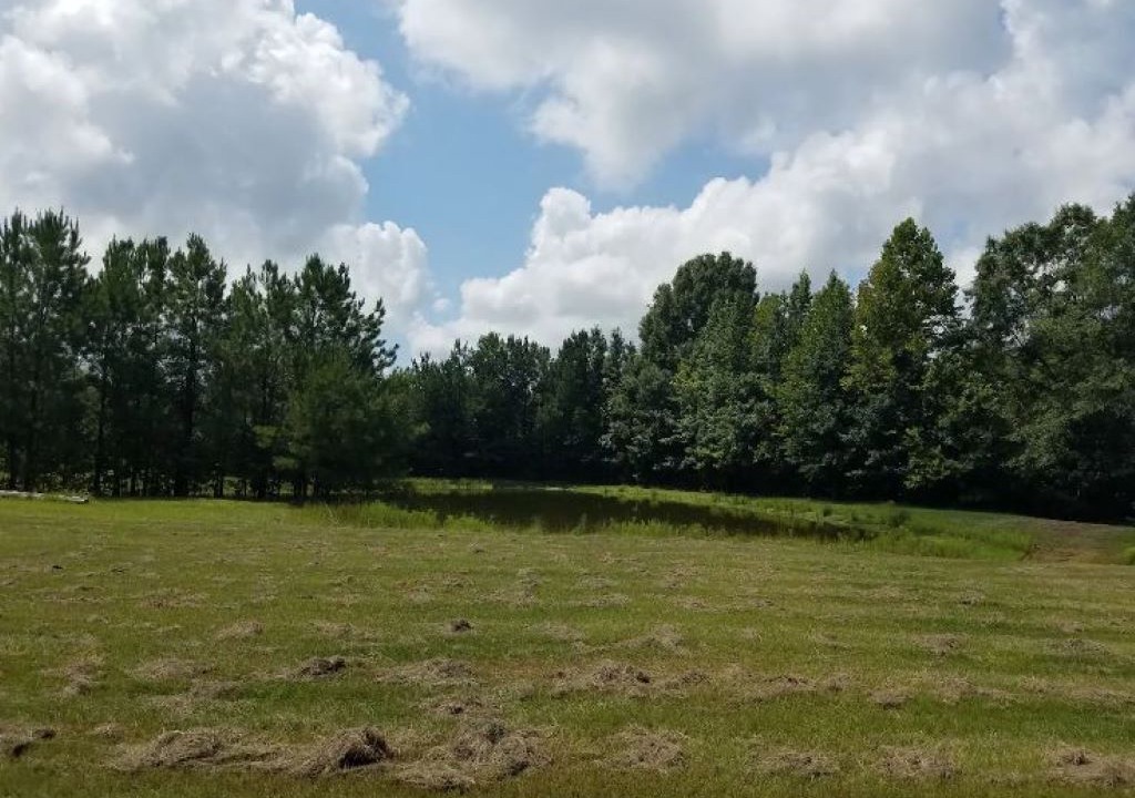 Photo of Others in Letohatchee