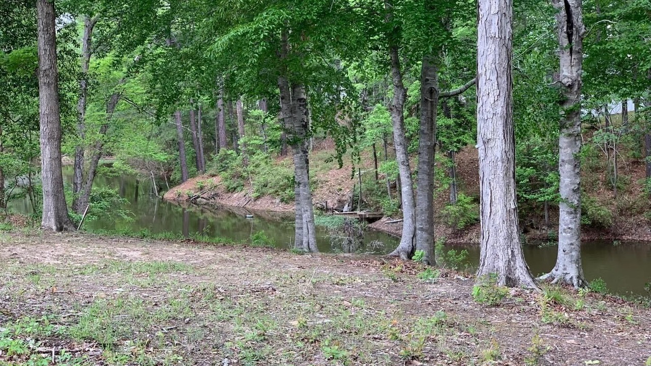 Photo of Others in Negreet