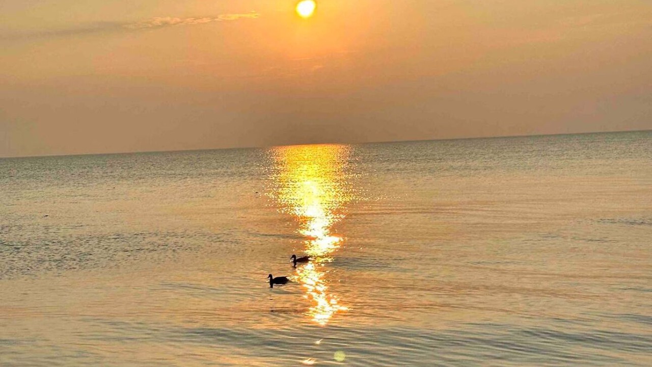 Photo of Others in North Greece