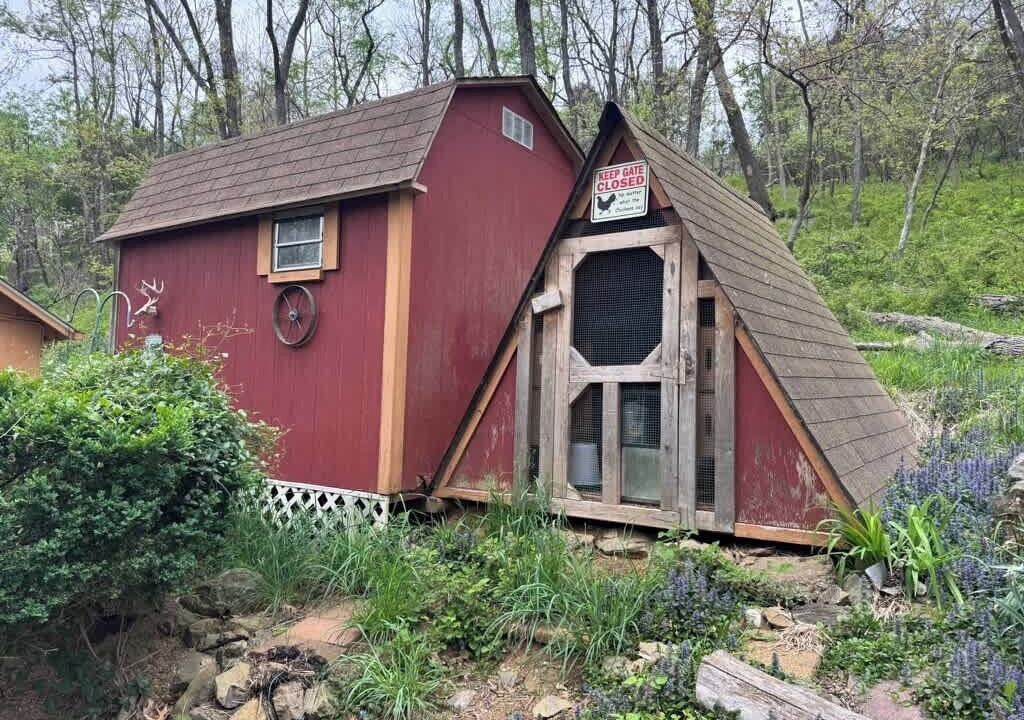 Photo of Outdoor in Linden