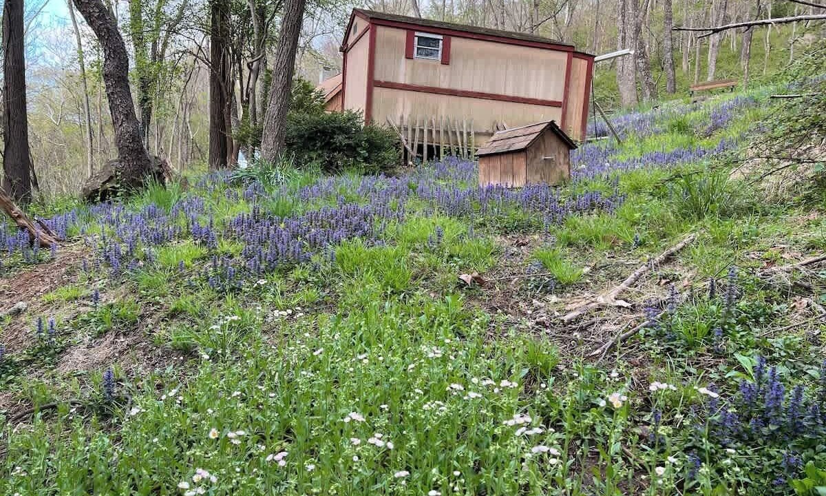 Photo of Outdoor in Linden