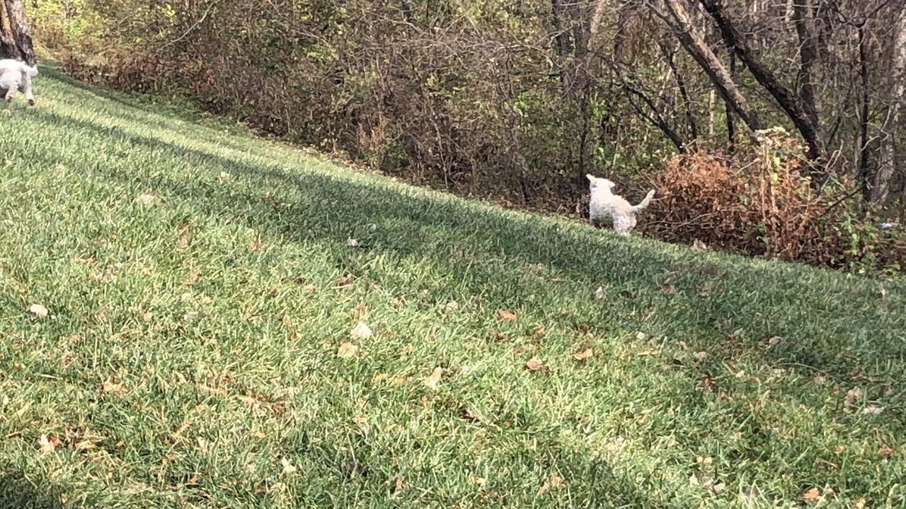 Photo of Others in Parkville