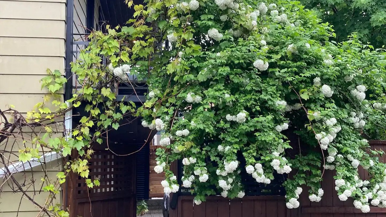 Photo of Outdoor in Vieux-Limoilou