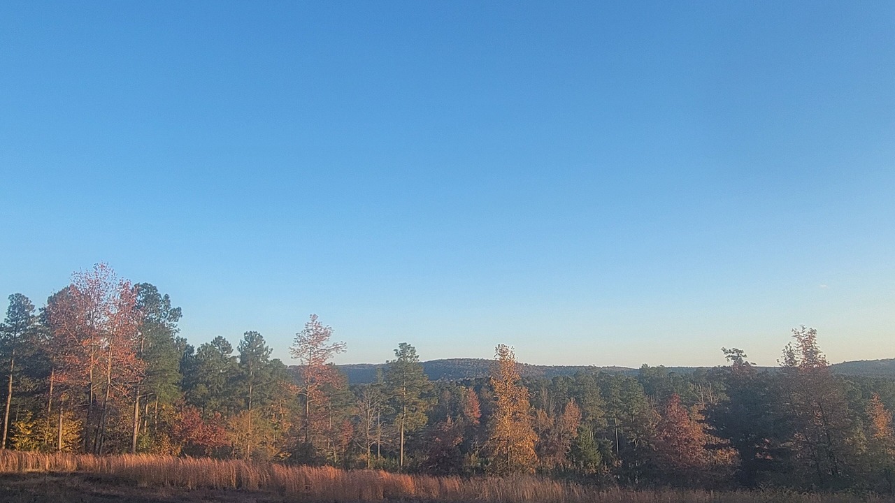 Photo of Outdoor in Kirby