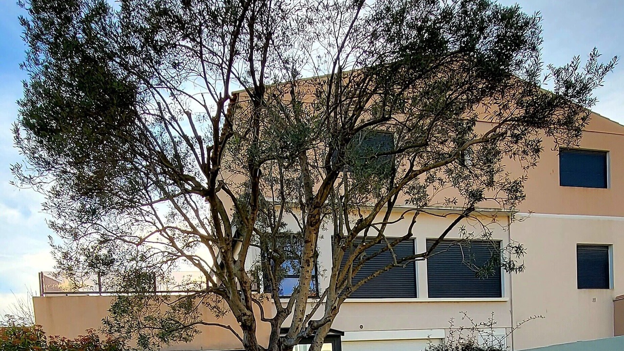 Photo of Outdoor in Le Grau-Du-Roi