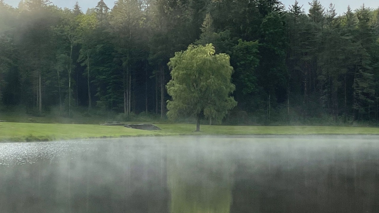 Photo of Outdoor in Margaretville