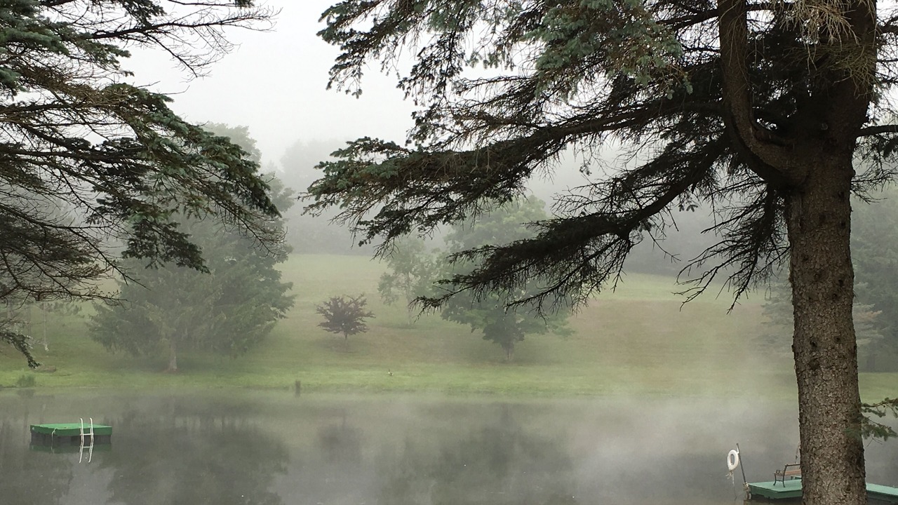 Photo of Others in Margaretville