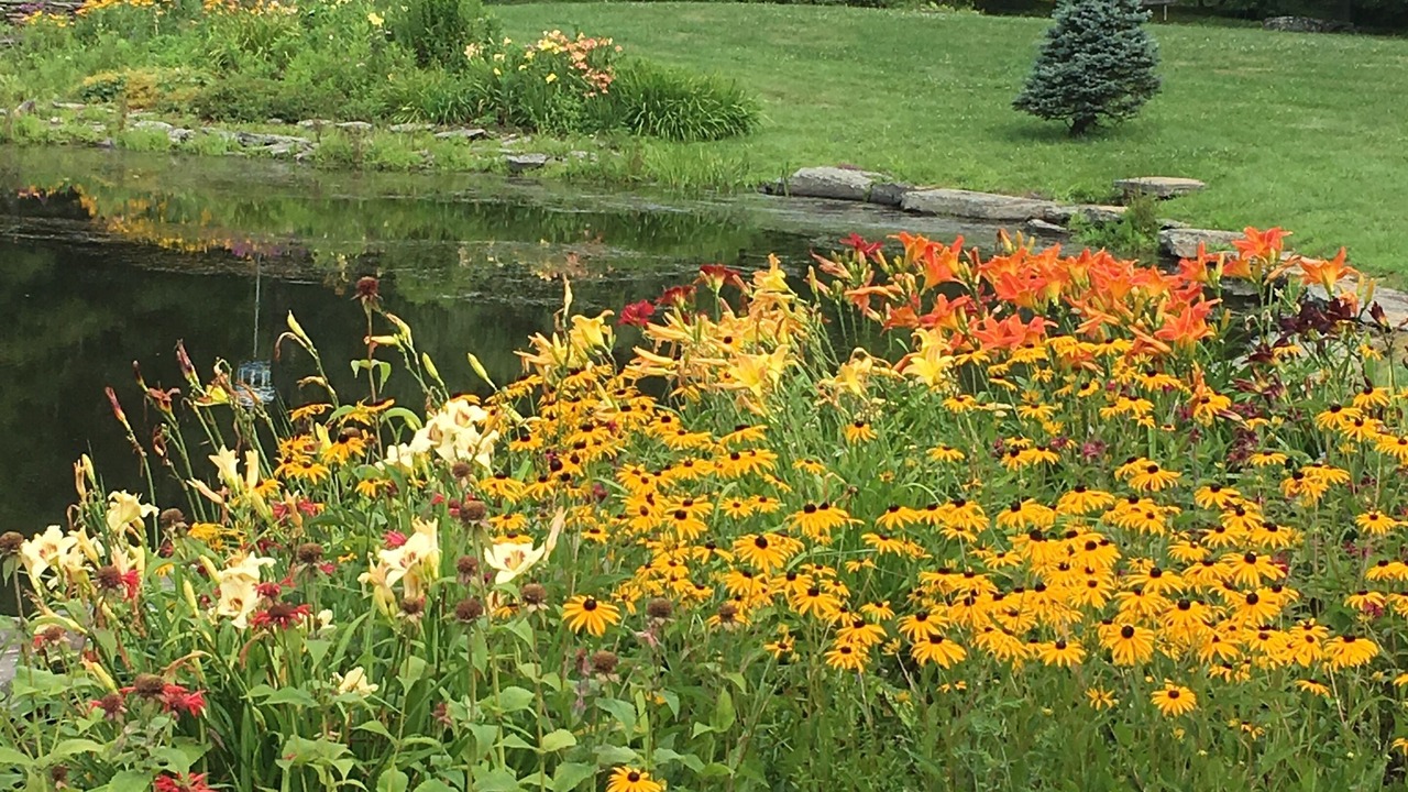 Photo of Outdoor in Margaretville