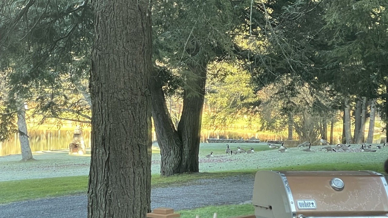 Photo of Outdoor in Margaretville