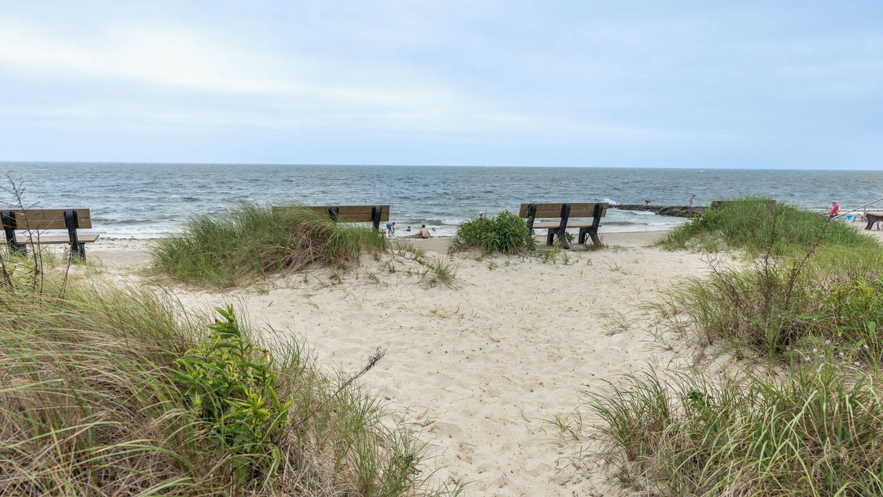 Photo of Others in Bass River