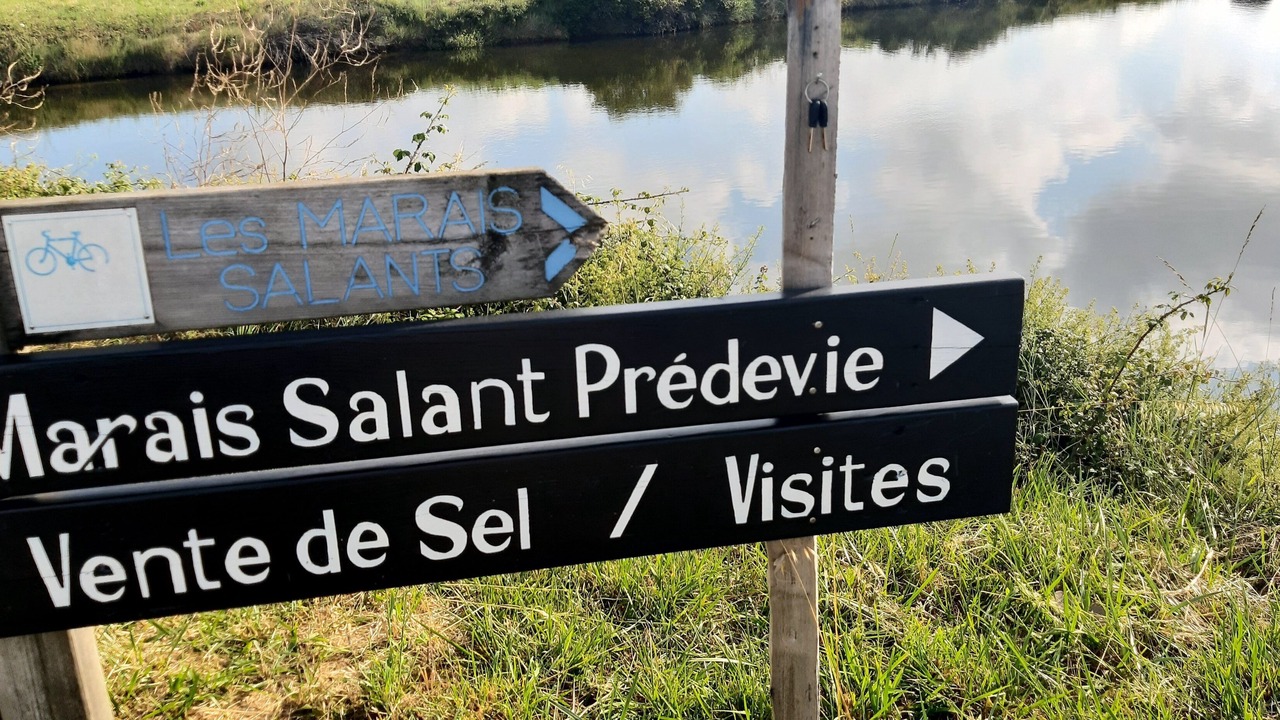 Photo of Others in Saint-Hilaire-de-Riez