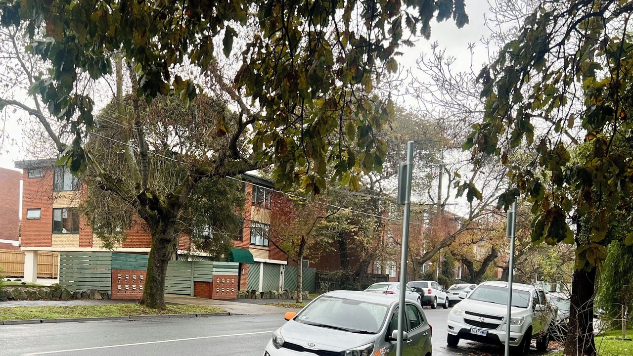 Photo of Outdoor in Flemington