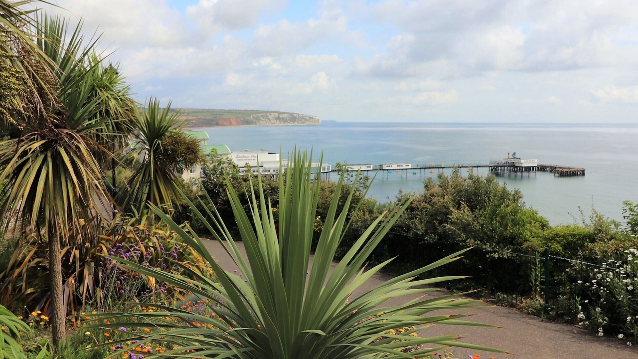 Photo of Outdoor in Sandown