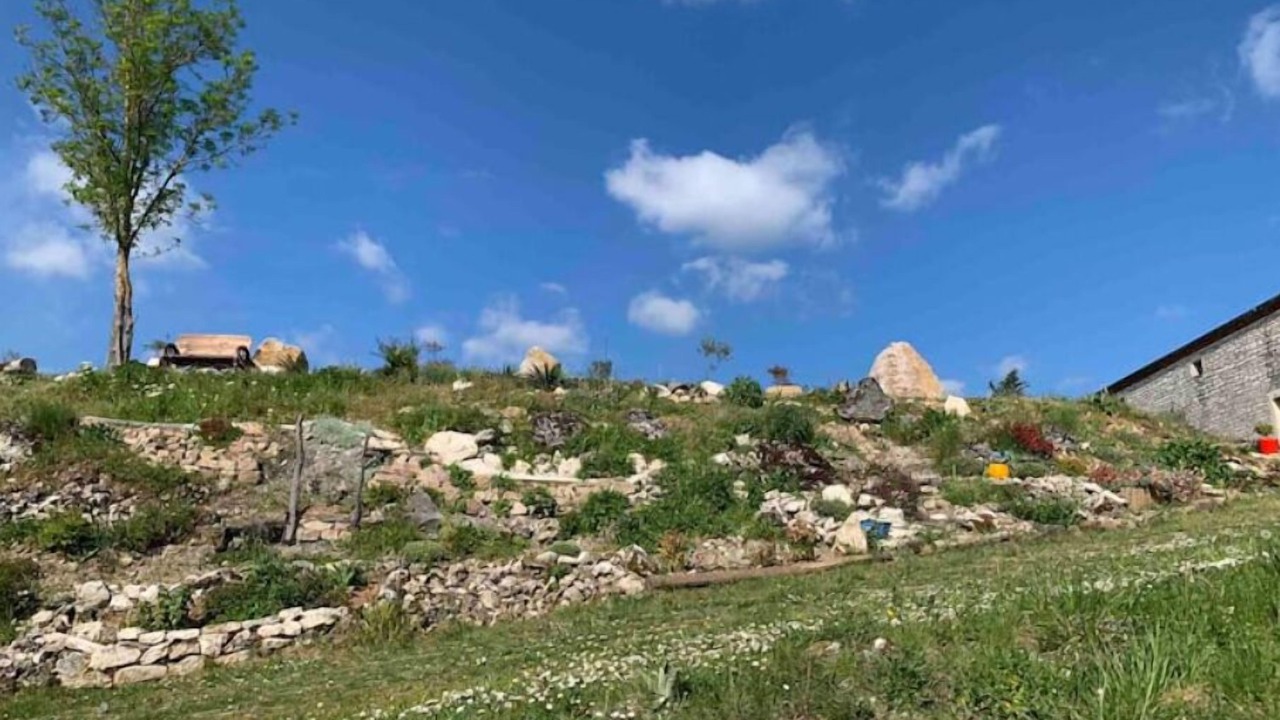 Photo of Outdoor in Taix