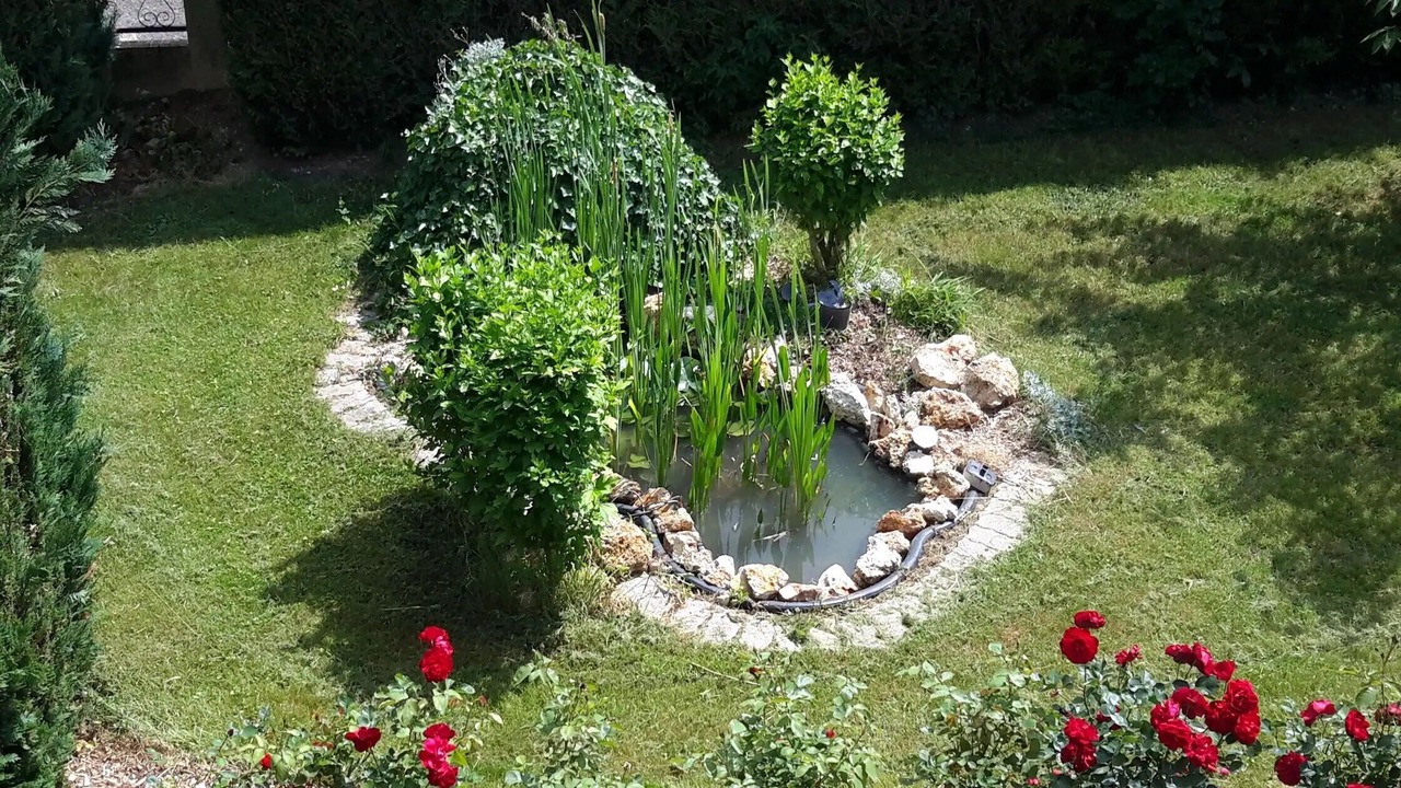 Photo of Outdoor in Juvigny