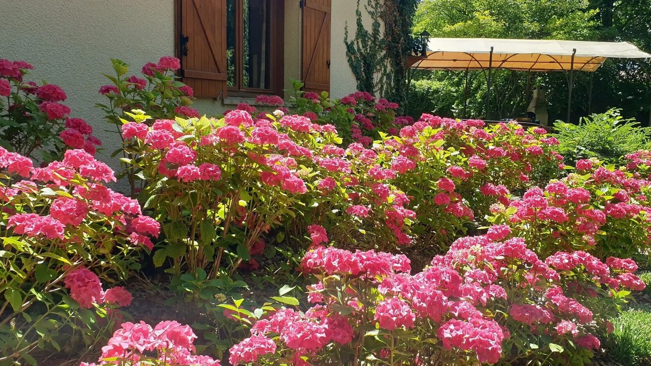 Photo of Outdoor in Juvigny